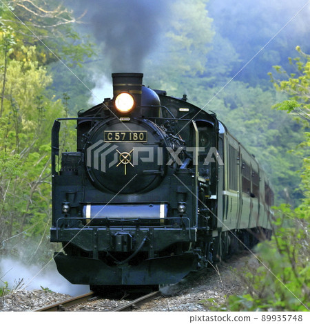 Ban oversea line SL of fresh green Ban oversea line SL of fresh green 89935748