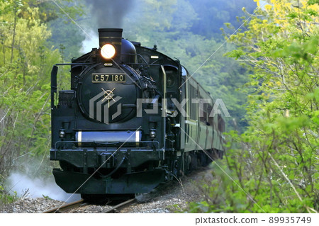 Ban oversea line SL of fresh green Ban oversea line SL of fresh green 89935749