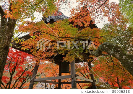Shuzenji Shuzenji 89936218