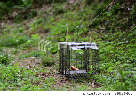 安裝在山上的抓拍機 89936403