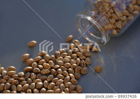 Cannabis seeds close-up. Marijuana seeds with storage jar on blue background Cannabis seeds close-up. Marijuana seeds with storage jar on blue background 89937426