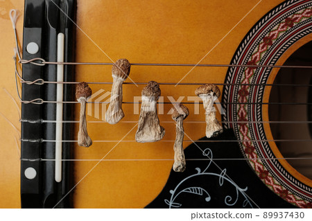 Psilocybin and music concept. Dry psilocybin mushrooms lay on the guitar 89937430