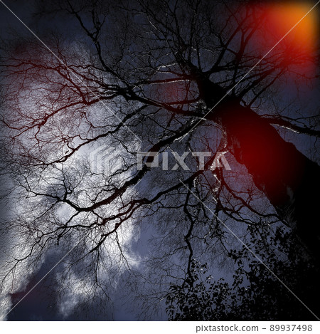 Folk Horror Inspired Images Of Trees And Skies. Folk Horror Inspired Images Of Trees And Skies. 89937498