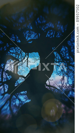 Folk Horror Inspired Images Of Trees And Skies. Folk Horror Inspired Images Of Trees And Skies. 89937502