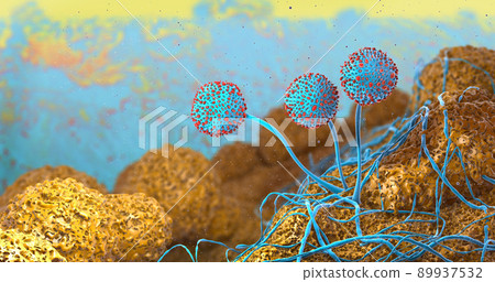 Microscopic closeup of growing mildew - 3d illustration 89937532
