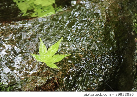 Water, rocks and autumn leaves 89938086