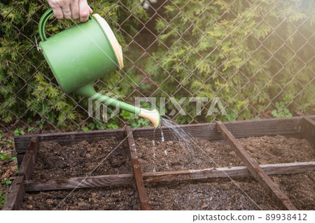 Watering the soil from a watering can, seeds in a wooden box 89938412