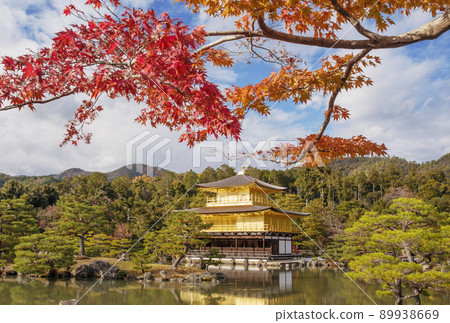 Kyoto Kinkakuji Temple, a famous spot for autumn leaves in Kyoto, a sightseeing spot in Kyoto, Momiji and Kinkakusha Riden, Kaenji Temple Kyoto Kinkakuji Temple, a famous spot for autumn leaves in Kyoto, a sightseeing spot in Kyoto, Momiji and Kinkakusha Riden, Kaenji Temple 89938669