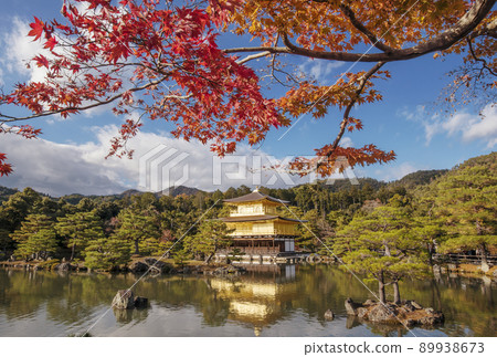Kyoto Kinkakuji Temple, a famous spot for autumn leaves in Kyoto, a sightseeing spot in Kyoto, Momiji and Kinkakusha Riden, Kaenji Temple Kyoto Kinkakuji Temple, a famous spot for autumn leaves in Kyoto, a sightseeing spot in Kyoto, Momiji and Kinkakusha Riden, Kaenji Temple 89938673