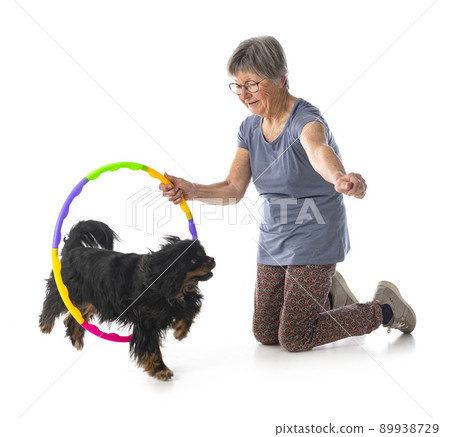 cavalier king charles and woman cavalier king charles and woman 89938729