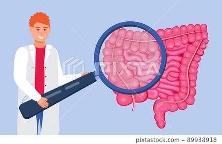 Gastroenterology concept vector. Large and small intestine doctors examine, treat dysbiosis. Gastroenterologist looks through at harmful bacteria. 89938918