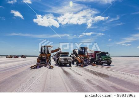 Desert Salt lagoon,Dunaliella salina coloration, La Pampa, Argentina 89938962