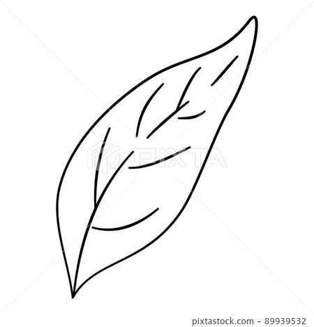 Pepper leaf icon outline, hand drawn vector. Green spicy Pepper leaf icon outline, hand drawn vector. Green spicy 89939532