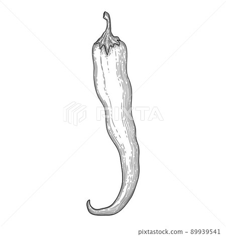 Eco pepper icon outline, hand drawn vector. Red cartoon 89939541