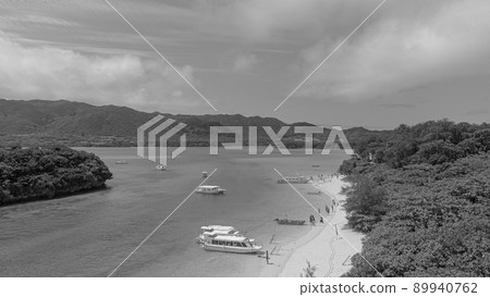 [棕褐色]石垣島川平灣 89940762