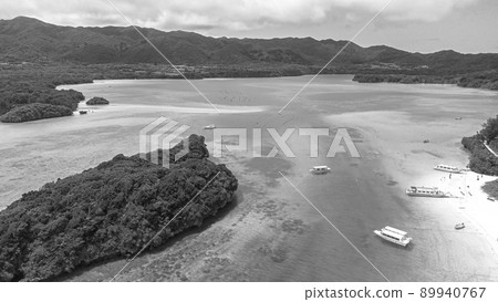 [棕褐色]石垣島川平灣 89940767