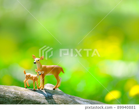 鹿的父母和孩子 89940881