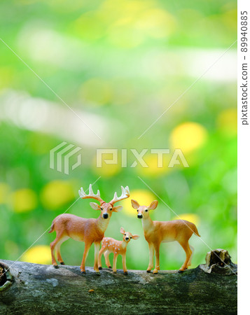 Deer parent and child 89940885