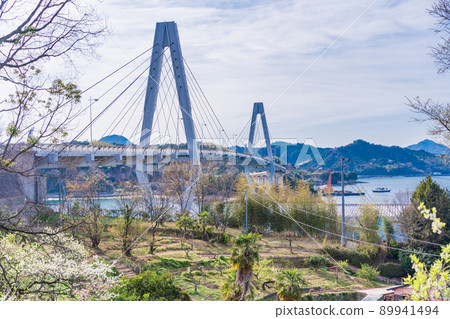Setouchi "Yumeshima Kaido" Sakura blooms, Yuge Ohashi 89941494
