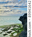 coast 89941642