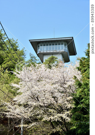 Highland Park Kokawa Observatory (Sakura) [Kinokawa City, Wakayama Prefecture] 89943389