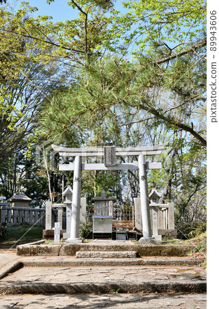 八龍王（葛城泉山）【和歌山縣城川市】 89943606