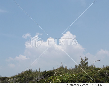 Early summer blue sky and white clouds at Kemigawahama Early summer blue sky and white clouds at Kemigawahama 89944238