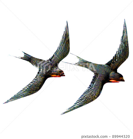 水彩風格寫實燕子插畫 89944320