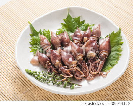 螢火蟲魷魚 螢火蟲魷魚 89944390