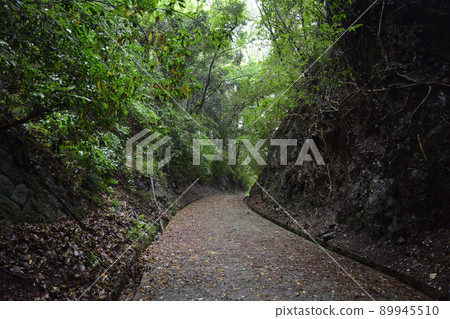 宇都屋村 89945510