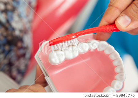 Dentist using a dental model to show the correct way to brush your teeth Dentist using a dental model to show the correct way to brush your teeth 89945776