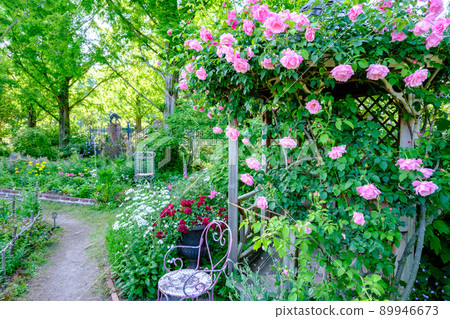 Rosa & Berry Tawada Rose Garden Rosa & Berry Tawada Rose Garden 89946673