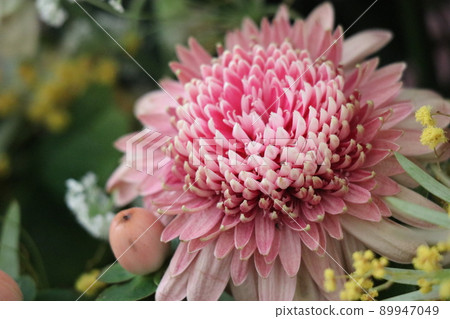 枯萎的花朵,退休慶典 枯萎的花朵,退休慶典 89947049