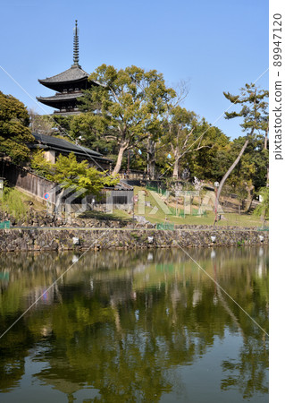 Kofukuji Temple (Sarusawa Pond, Five-storied Pagoda) [Nara City, Nara Prefecture] 89947120