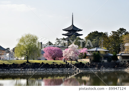 Kofukuji Temple (Five-storied Pagoda) [Nara City, Nara Prefecture] 89947124