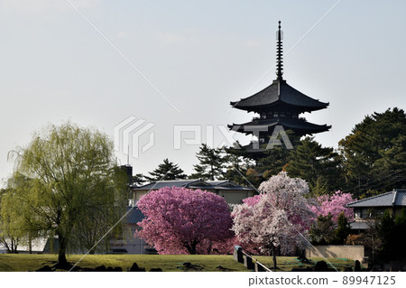 Kofukuji Temple (Five-storied Pagoda) [Nara City, Nara Prefecture] 89947125