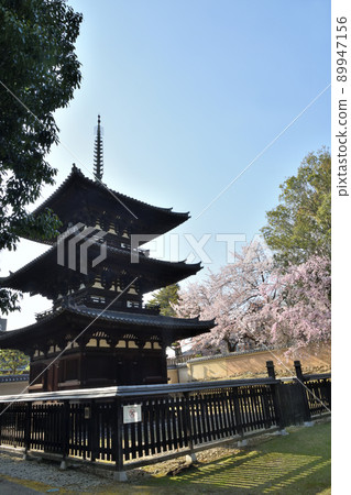 Kofukuji Temple (Mie Tower) [Nara City, Nara Prefecture] 89947156