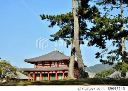 Kofukuji Temple (Nakakindo) [Nara City, Nara Prefecture] 89947243