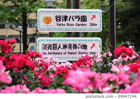 Yatsu Rose Garden, the birthplace of the Yomiuri Giant Army (Narashino City, Chiba Prefecture) Yatsu Rose Garden, the birthplace of the Yomiuri Giant Army (Narashino City, Chiba Prefecture) 89947244