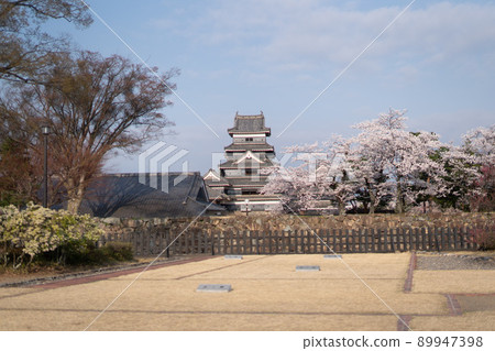 松本城堡的櫻花 89947398