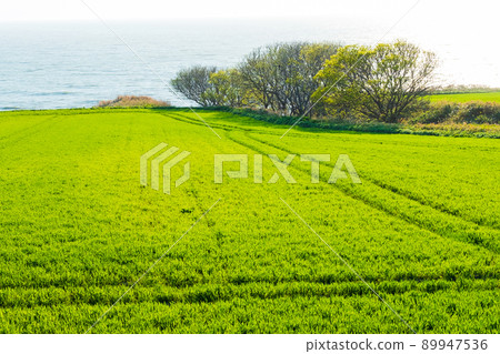 Sea of Japan scenery seen from the Ororon line of the Sea of Japan 89947536