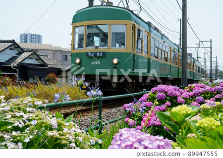 Enoden 300 type running while being sent off by hydrangea 89947555