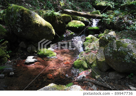 May Ome 236 Moss and running water / Rock garden Mt. Mitake 89947736