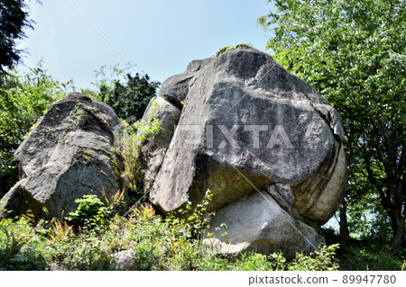 Meotoiwa (Mt. Kunimi) [Hirakata City, Osaka Prefecture] 89947780