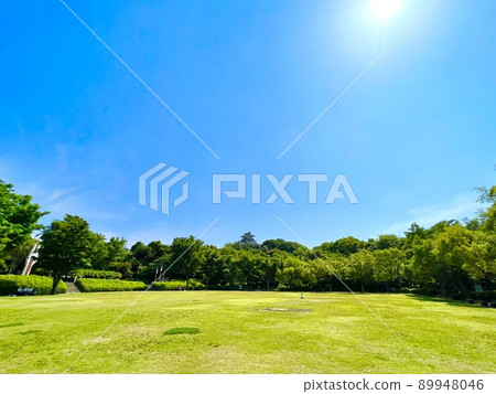 湛藍的天空和夏日的陽光下，綠草如茵的廣場 89948046