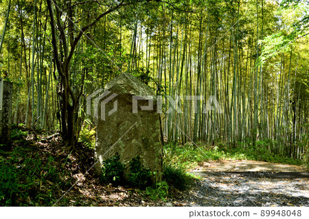 高野山石佛路(彌勒佛坐像石佛)【大阪府片野市】 高野山石佛路(彌勒佛坐像石佛)【大阪府片野市】 89948048