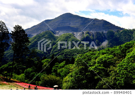 Mt. Buko Mt. Buko 89948401
