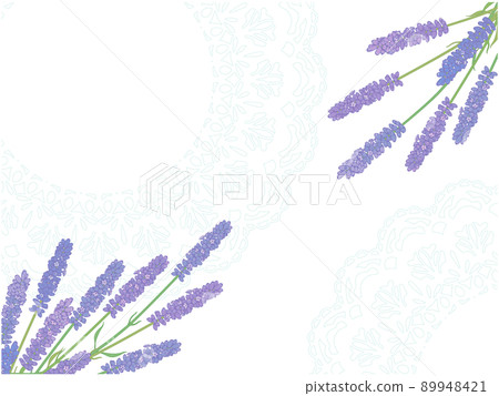 Lavender background ② (white lace, no background) 89948421