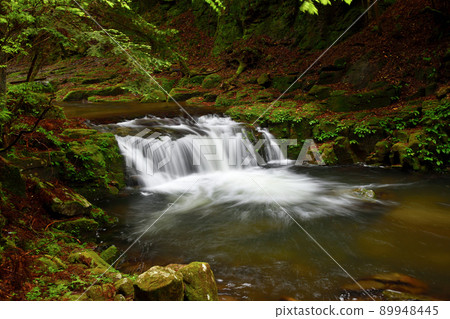 Kototaki (Akame Shijuhatsutaki) [Nabari City, Mie Prefecture] 89948445