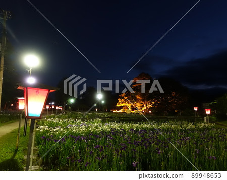 Iris in full bloom Ayame Nagai Ayame Park Iris in full bloom Ayame Nagai Ayame Park 89948653